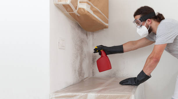Professional Bathroom Mold Removal technician working in Middleton, MA